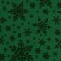 Mobile Preview: Jersey Jesse Jersey Schneeflocken schwarz grün