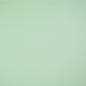 Preview: Baumwolljersey Uni - Jersey mint