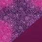 Preview: Softshell Spotlight pink