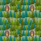 Preview: Sweat Honigbär