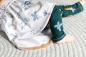 Preview: Jersey Dino World by jessy Sewing
