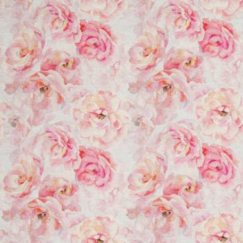 Isla rosa Blumen