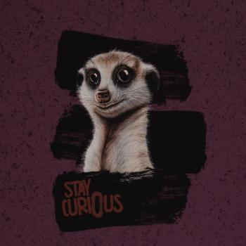 Preview: French Terry Panel Stay Curious by Thorsten Berger  Preview: French Terry Panel Stay Curious by Thorsten Berger