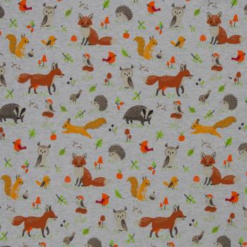 Leah grau Igel Fuchs Dachs