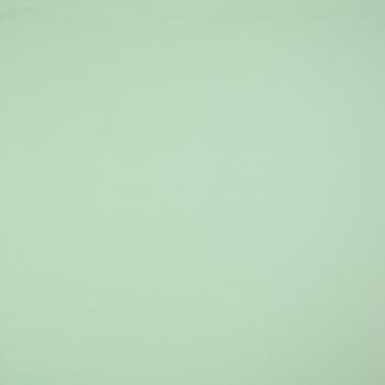 Baumwolljersey Uni - Jersey mint
