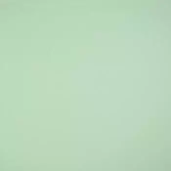 Baumwolljersey Uni - Jersey mint