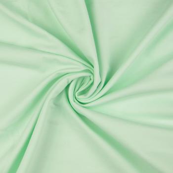 French Terry angeraut - mint