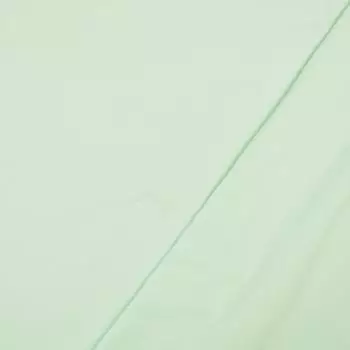 French Terry angeraut - mint