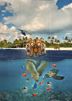 Single - Panel Tiger Strand Stenzo