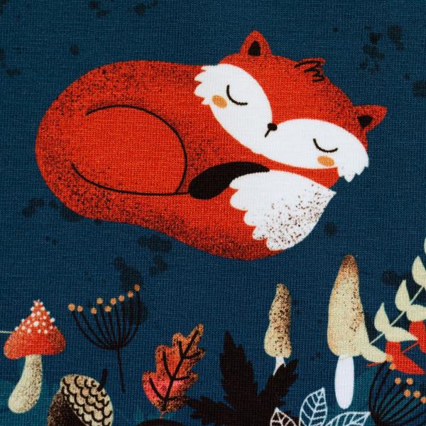 Jersey Panel, My little Foxy by Christiane Zielinski - Fuchs schlafend, bunt