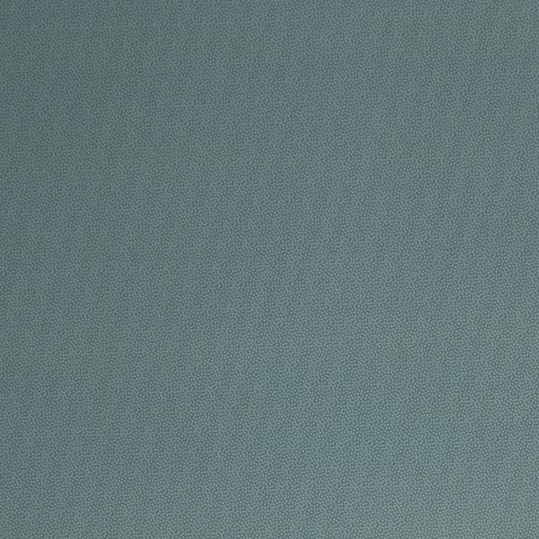 Fiete Nano Softshell mint kleine Punkte