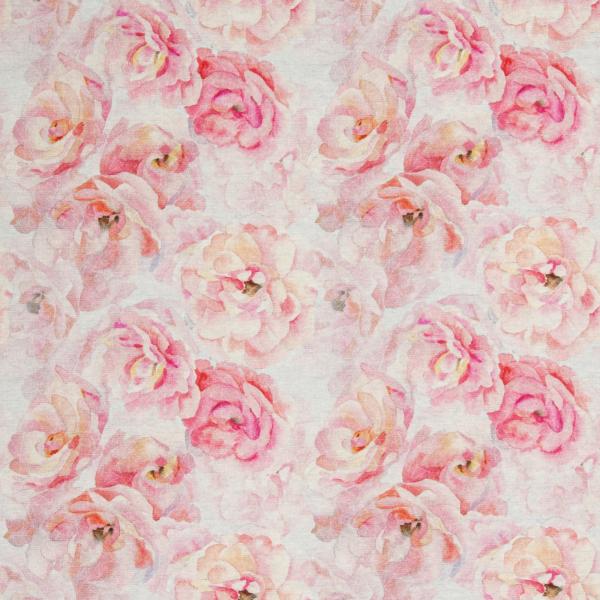 Isla rosa Blumen