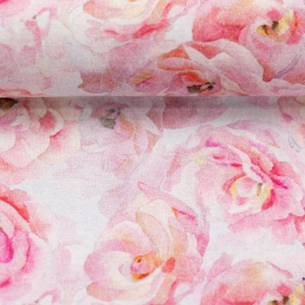 Isla rosa Blumen