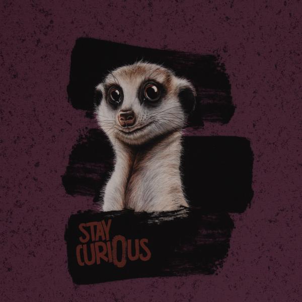 French Terry Panel Stay Curious by Thorsten Berger  French Terry Panel Stay Curious by Thorsten Berger
