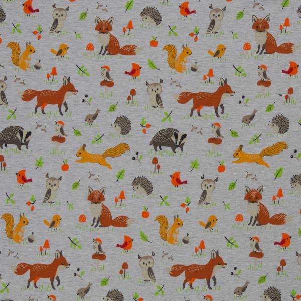 Leah grau Igel Fuchs Dachs