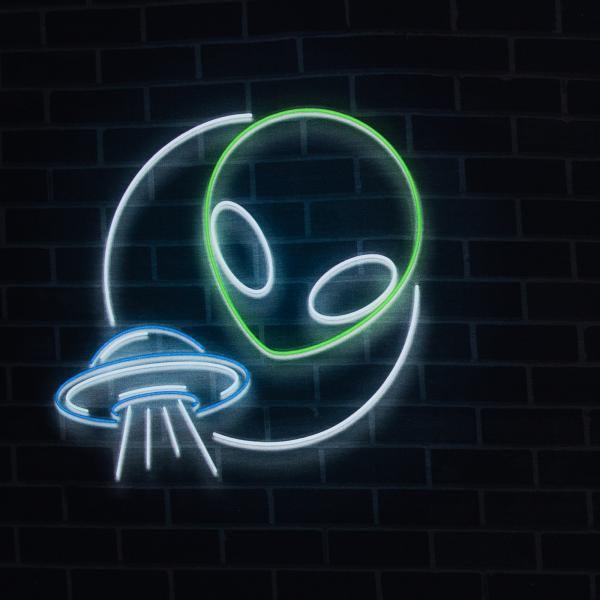 French Terry Panel Alien by Torsten Berger