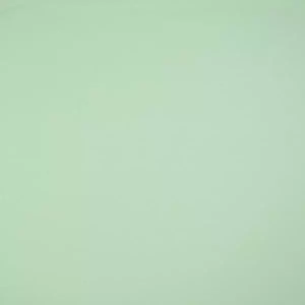 Baumwolljersey Uni - Jersey mint