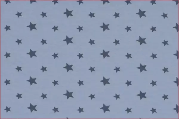 Jersey Motiv Stern - Blau