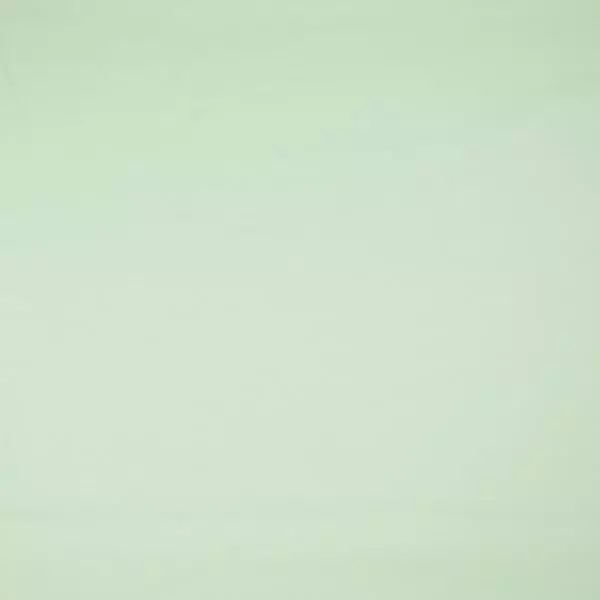 French Terry angeraut - mint