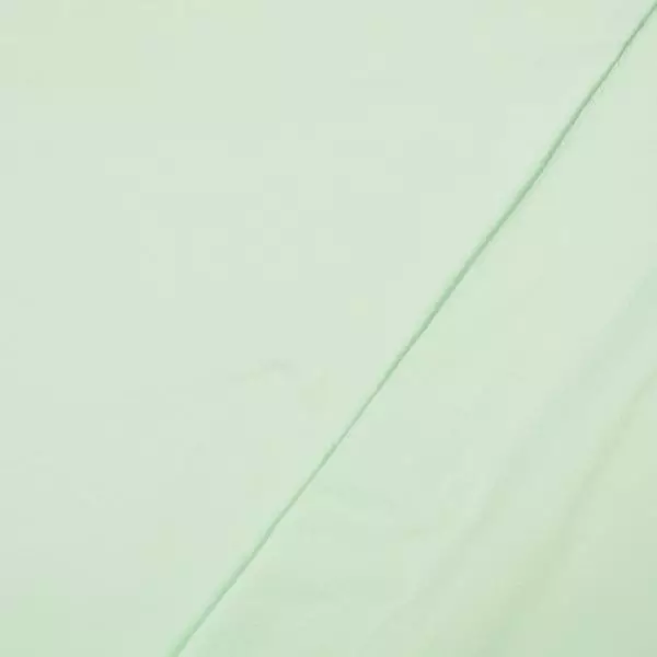 French Terry angeraut - mint
