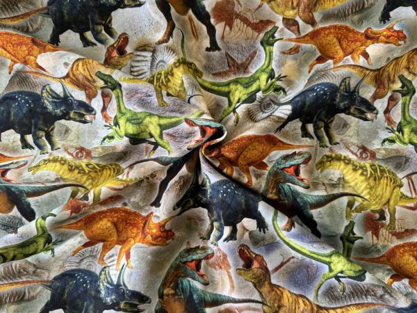 French Terry Janno Dinosaurier
